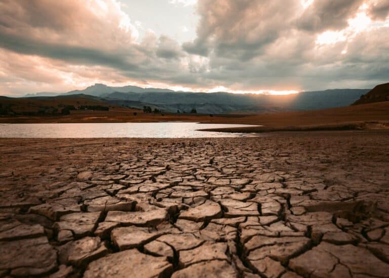 Drought Photo by redcharlie on Unsplash