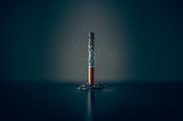 tobacco Photo by Mathew MacQuarrie on Unsplash