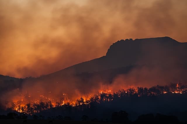 Bush Fires climate change Photo by Matt Palmer on Unsplash